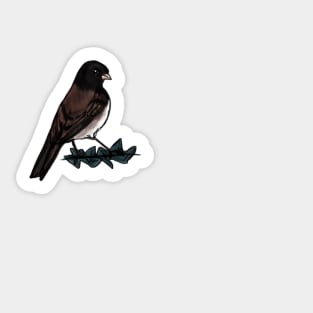 Dark-eyed Junco Sticker